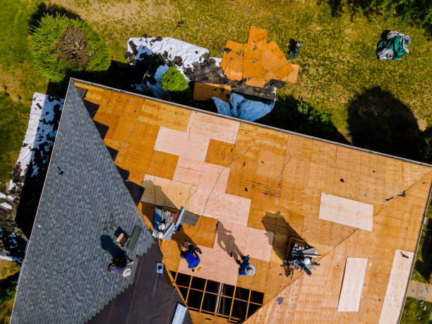 Best Roof Leak Repair  in Wliamsvle, IL