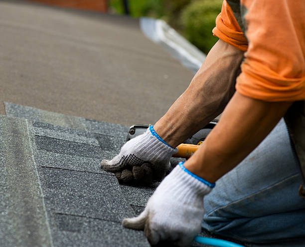 Sealant for Roof in Williamsville, IL