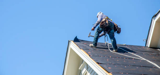 Best Roof Replacement Cost  in Wliamsvle, IL